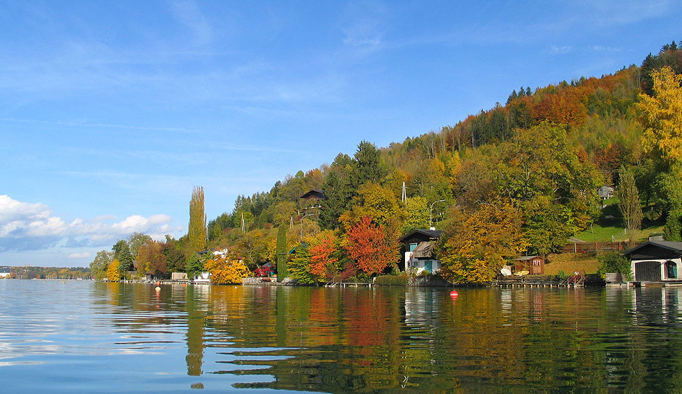 Wunderschön vom Herbst gefärbter Uferabschnitt in Richtung Kammer
