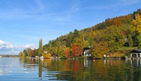 Wunderschön vom Herbst gefärbter Uferabschnitt in Richtung Kammer
