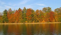Herbstliche Farbenpracht am Irrsee